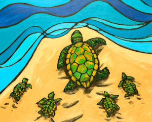 Sea-Turtles
